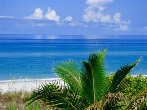 Gasparilla island vacation rentals  With over 40 homes to choose from, ranging from spacious beachfront homes to cozy inland cottages, we have something for everyone